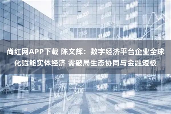 尚红网APP下载 陈文辉:数字经济平台企业全球化赋能实体经济 需破局生态协同与金融短板