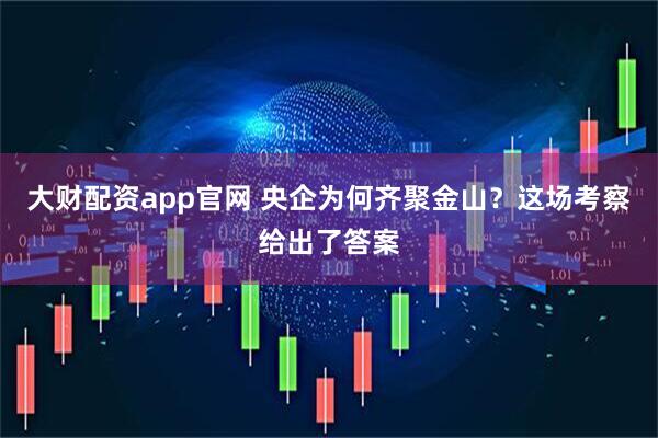 大财配资app官网 央企为何齐聚金山?这场考察给出了答案