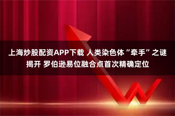 上海炒股配资APP下载 人类染色体“牵手”之谜揭开 罗伯逊易位融合点首次精确定位