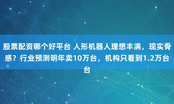 股票配资哪个好平台 人形机器人理想丰满，现实骨感？行业预测明年卖10万台，机构只看到1.2万台