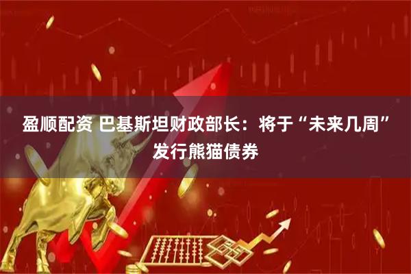 盈顺配资 巴基斯坦财政部长：将于“未来几周”发行熊猫债券