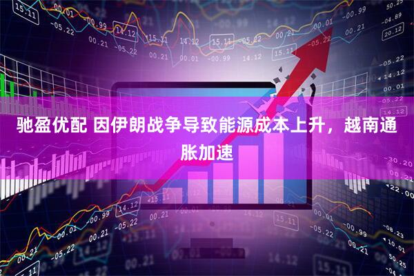 驰盈优配 因伊朗战争导致能源成本上升，越南通胀加速
